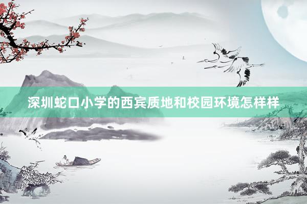 深圳蛇口小学的西宾质地和校园环境怎样样